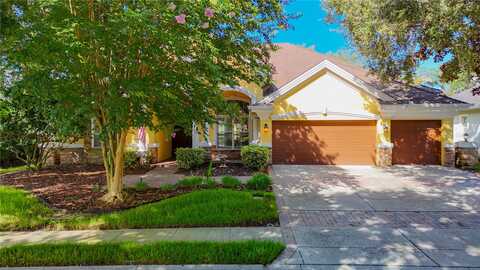 Parilla, NEW PORT RICHEY, FL 34655