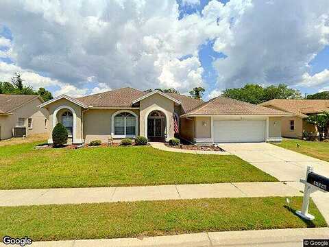 Bronte, HUDSON, FL 34667