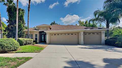 King Tom, RUSKIN, FL 33573