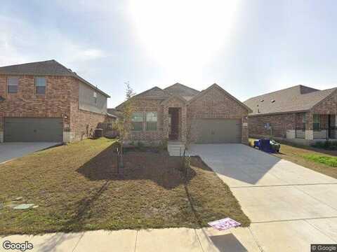Arcadian Lily, SAN ANTONIO, TX 78245