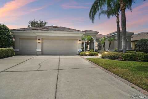 El Pardo, TRINITY, FL 34655