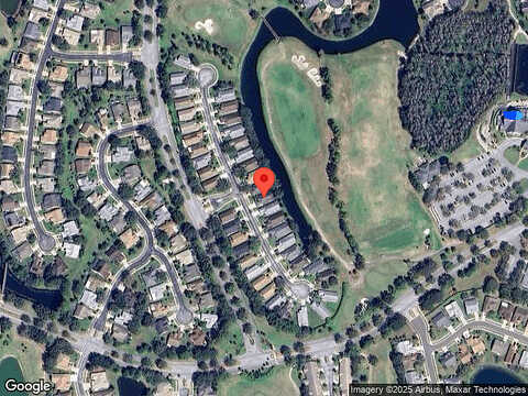 Hickory Moss, TRINITY, FL 34655