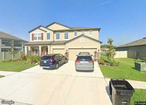 Criollo, SPRING HILL, FL 34610