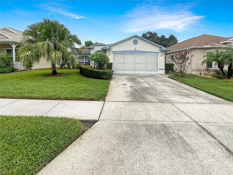 Loblolly Pine, NEW PORT RICHEY, FL 34654