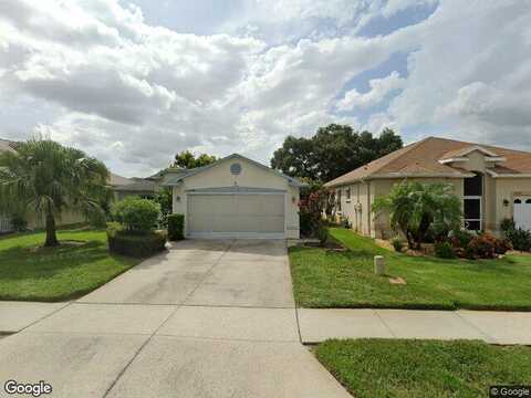 Loblolly Pine, NEW PORT RICHEY, FL 34654
