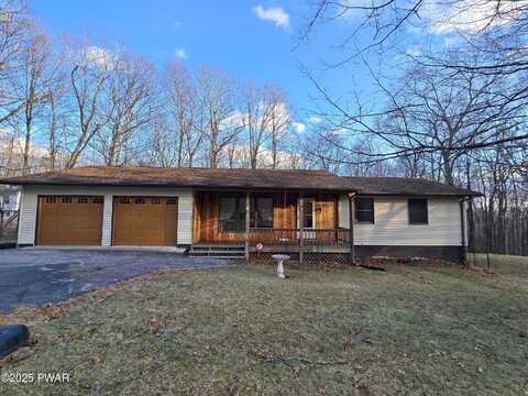 Hobblebush, MILFORD, PA 18337