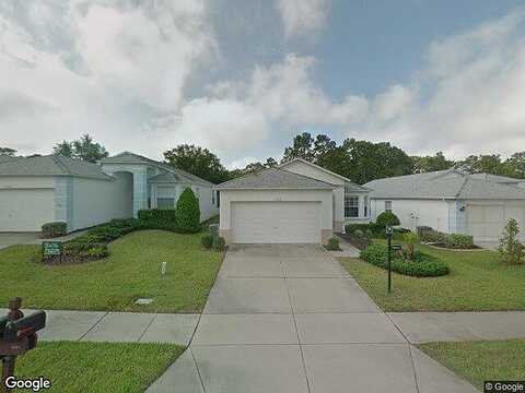 Hollander, HUDSON, FL 34667