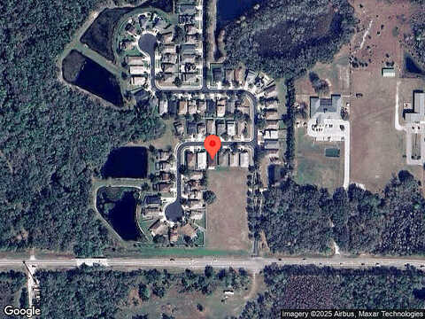 Napolean, WESLEY CHAPEL, FL 33544