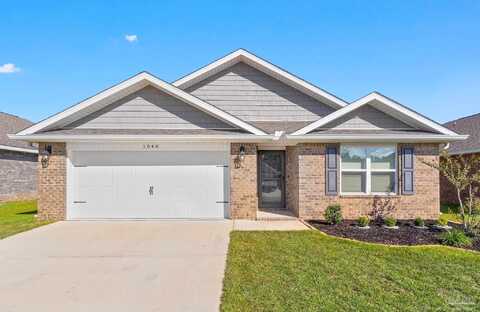 Limpkin, CRESTVIEW, FL 32539