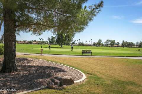 Coopers Hawk, SUN LAKES, AZ 85248