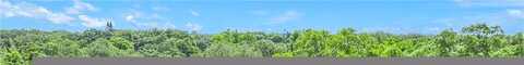 Glenwood, CLEARWATER, FL 33755