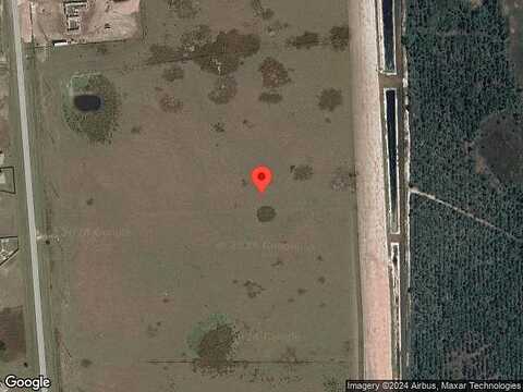 Bluethread, KISSIMMEE, FL 34759
