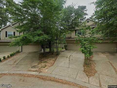 Liriope, CONROE, TX 77384