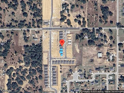 Moose, DAVENPORT, FL 33837