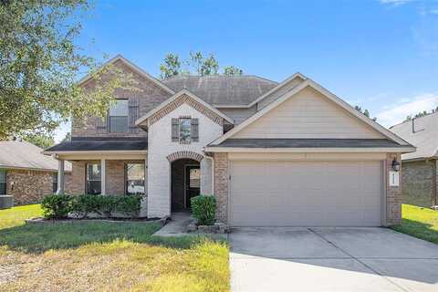 Shire Horse, PORTER, TX 77365