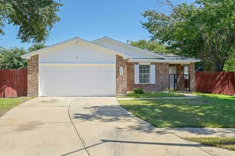 Ardisia, PFLUGERVILLE, TX 78660