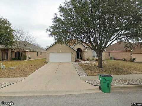 Tortoise, ROUND ROCK, TX 78664
