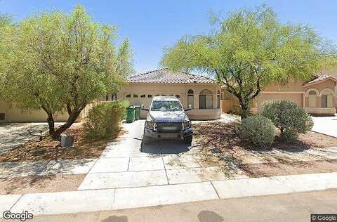 Theodore Roosevelt, SAHUARITA, AZ 85629