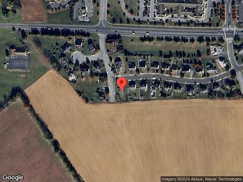 Larkspur, PALMYRA, PA 17078