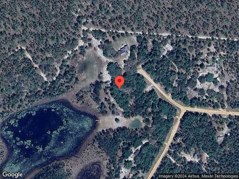 Fox Squirrel, HAWTHORNE, FL 32640
