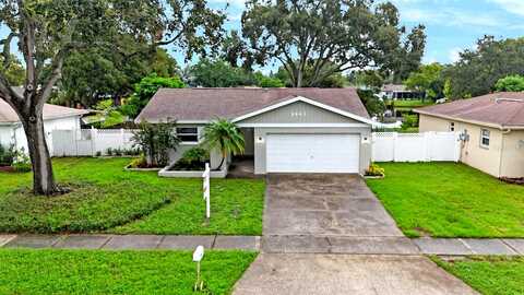 Scott, SEMINOLE, FL 33777