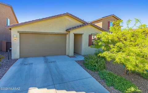 Silver Lillie, TUCSON, AZ 85747