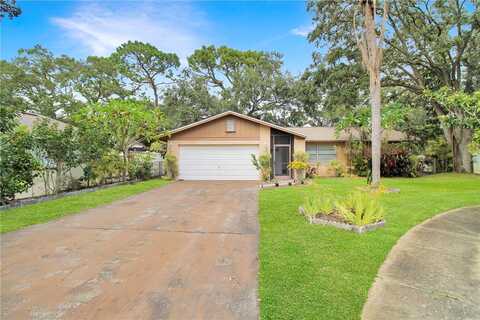 114Th, PINELLAS PARK, FL 33782