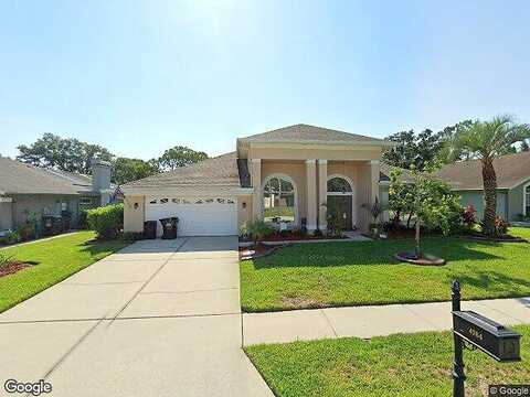 Stoneview, OLDSMAR, FL 34677