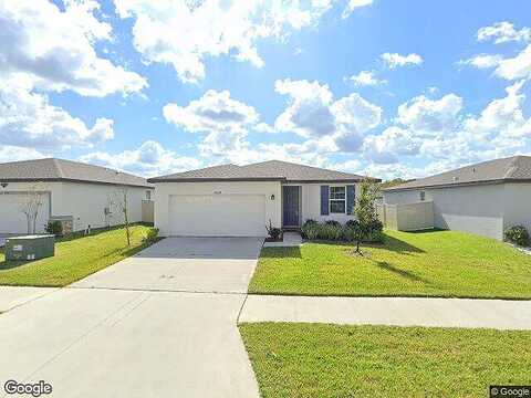 Finn Clover, ZEPHYRHILLS, FL 33540