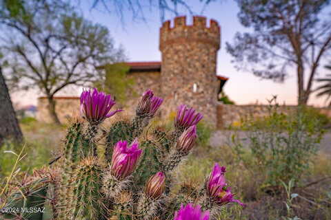 Sweetwater, TUCSON, AZ 85745
