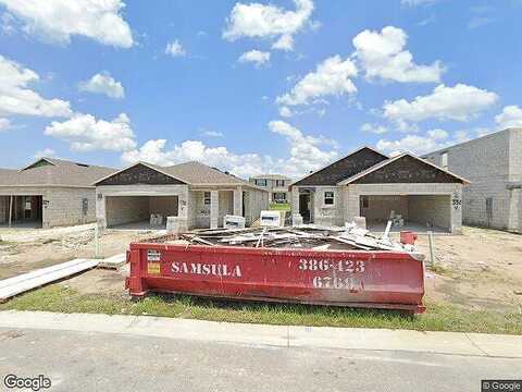 Caryota, NEW SMYRNA BEACH, FL 32168