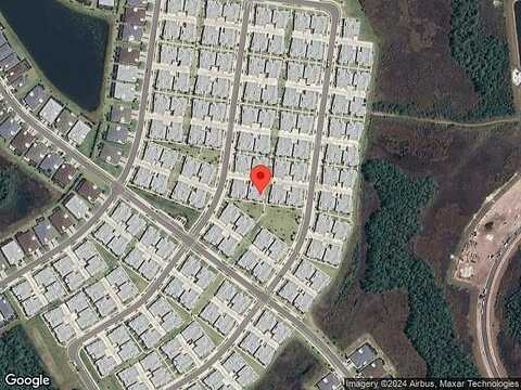 Parrot, DAYTONA BEACH, FL 32124