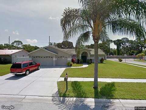 Osprey, PALM HARBOR, FL 34683