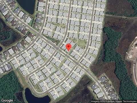 Parrot, DAYTONA BEACH, FL 32124