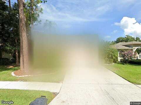 Bolt, PALM HARBOR, FL 34685
