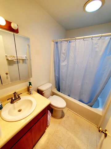 Pine, PAYSON, AZ 85541