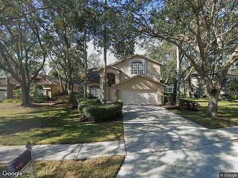 Backwater, PALM HARBOR, FL 34685