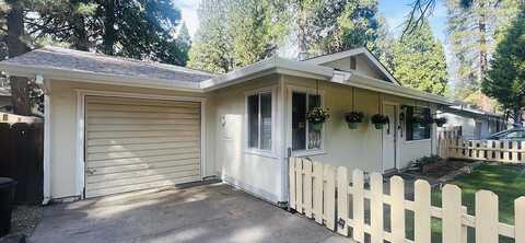 Sugar Pine, BURNEY, CA 96013