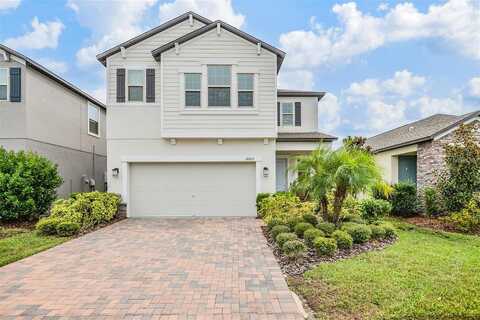 Frame, LAND O LAKES, FL 34638