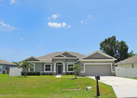 Chicory, PALM BAY, FL 32907