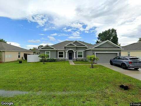 Chicory, PALM BAY, FL 32907