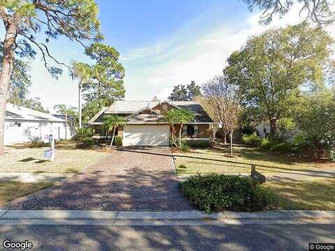 Palomino, TARPON SPRINGS, FL 34689