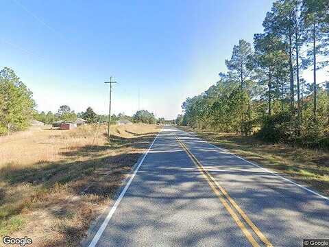 Lee Place, LUDOWICI, GA 31316
