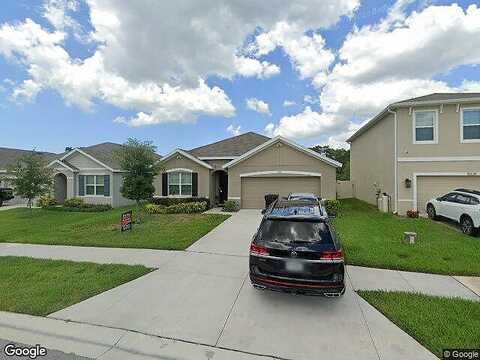Black Pepper, ODESSA, FL 33556