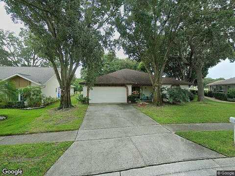Wicklow, PALM HARBOR, FL 34684