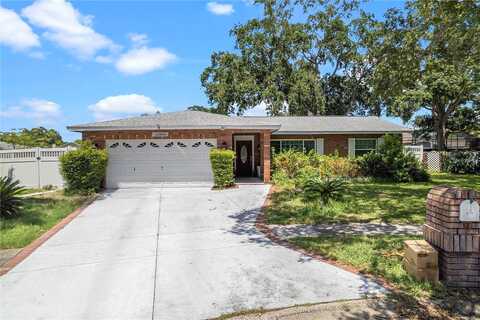 Palm, LARGO, FL 33774