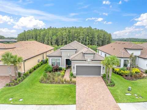 Calluna, ODESSA, FL 33556