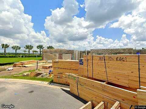 Amberview, WESLEY CHAPEL, FL 33545