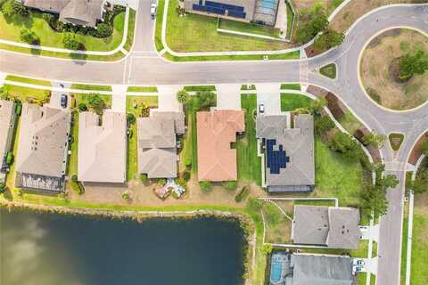 Water Color, LAND O LAKES, FL 34638