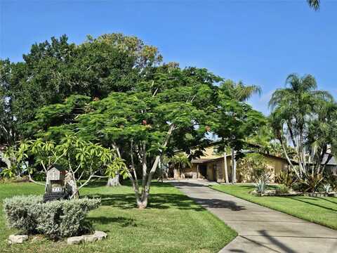 Shore, OLDSMAR, FL 34677
